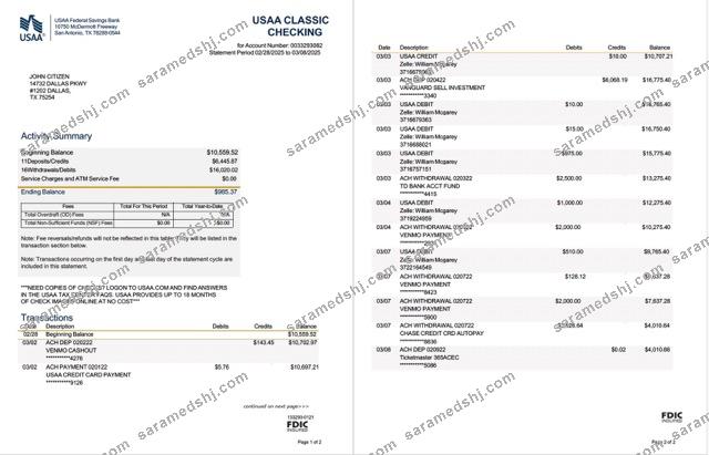 USAA Federal Savings Bank statement Word and PDF template, 2 pages
